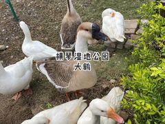 -芒洲湿地公园