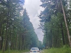 -塞罕坝国家级自然保护区