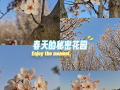 -翠湖公园