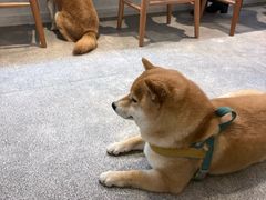 -三目仓咖啡(贤南路店)