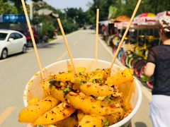 -三圣花乡旅游区