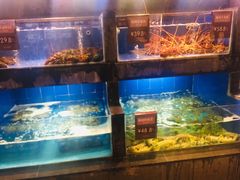 水产区-徐记海鲜(陕西历史博物馆|明德门店)