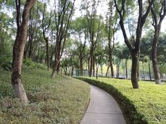 -重庆市江北嘴中央商务区中央公园