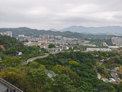 -福道