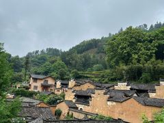 -杨家堂村