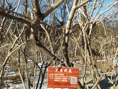 -迎泽公园