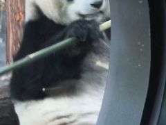 -秦皇岛野生动物园