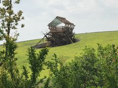 -合肥滨湖国家森林公园