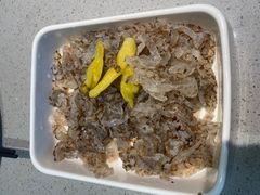 -半天妖烤鱼(中山路店)