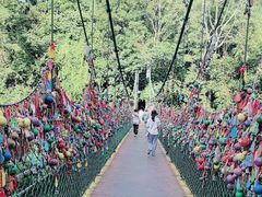 -西双版纳原始森林公园