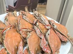 -金沙滩海鲜餐厅·海肠捞饭·手工水饺(梅江龙水园店)