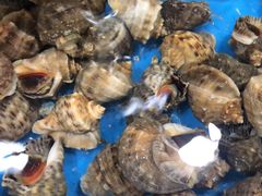 -鑫渔港海鲜本地菜·山海关浑锅(东戴河店)