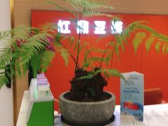 -红鼎豆捞·非遗鲍皇汤火锅(宝丰路店)