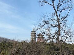 -湛山寺