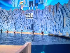 -珠海长隆海洋王国