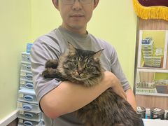-瑞鹏宠物医院·宠保定点·心脏科·内科(御桥分院)