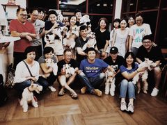 -汪说喵讲宠物乐园宠物酒店(红星美凯龙店)