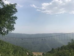 -铜川市金锁关石林