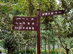 -重庆彩云湖湿地公园