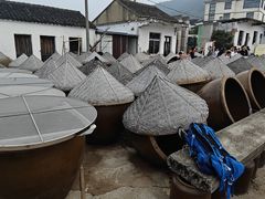 -苏州市吴中区光福窑上花果蜜饯厂