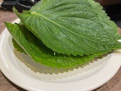 -火炉火自助餐(五道口购物中心店)