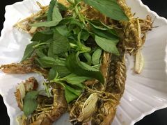 -QQ海鲜餐厅