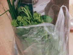-1013 PET SHOP精品宠物商店(丁香店)