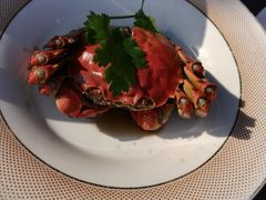 -品鲜村农家菜·阳澄湖大闸蟹(总店)