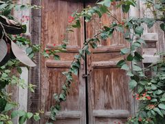 -大渡口区义渡公园