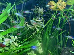 -上海海洋水族馆