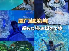 -厦门海底世界
