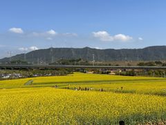 -光明小镇欢乐田园