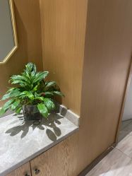 -苑苑vbeauty科技美容SPA
