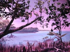 -中国湿地博物馆