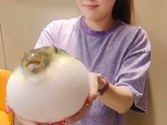 -鲐赏河豚(长寿店)