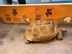 -上海跨国采购会展中心