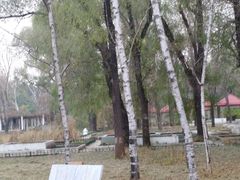 -黑龙江省森林植物园