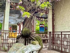 -郑和公园