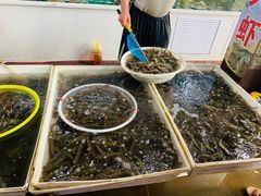 -韩家墅海吉星农产品批发市场