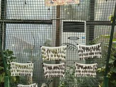 -上海大自然野生昆虫馆
