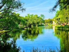 -上海共青森林公园