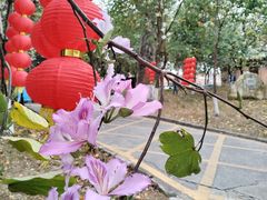 -华农酸奶文化馆