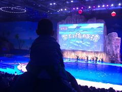 -华夏文旅海洋公园