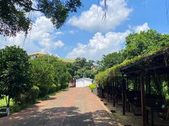 -侯臣咖啡文化村