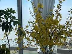 -漾花汐·西餐·下午茶(苏州湾歌林公园店)