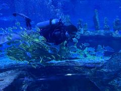 -秦皇岛新澳海底世界