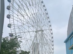 -弘阳·未来世界(弘阳广场店)