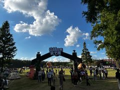 -黄海国家森林公园