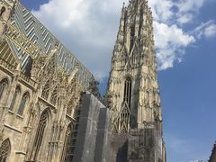 -斯蒂芬主教座堂(Stephansdom)