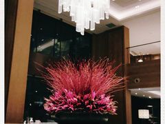 -杭州君悦酒店